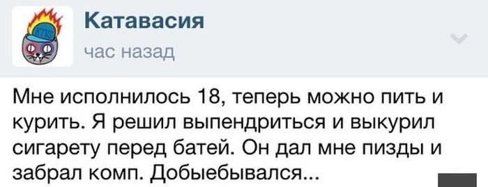 Забавные картинки