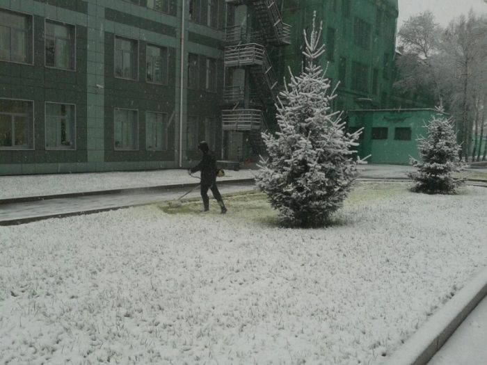 Забавные картинки