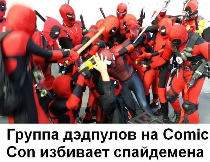 Забавные картинки