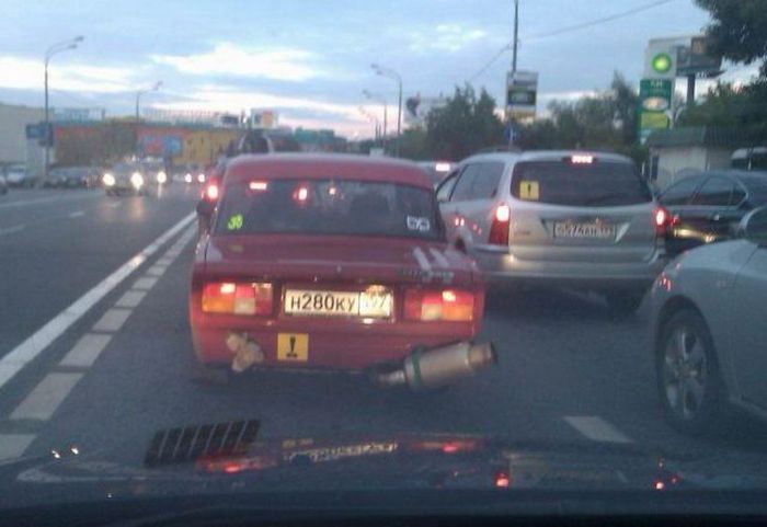 Забавные картинки