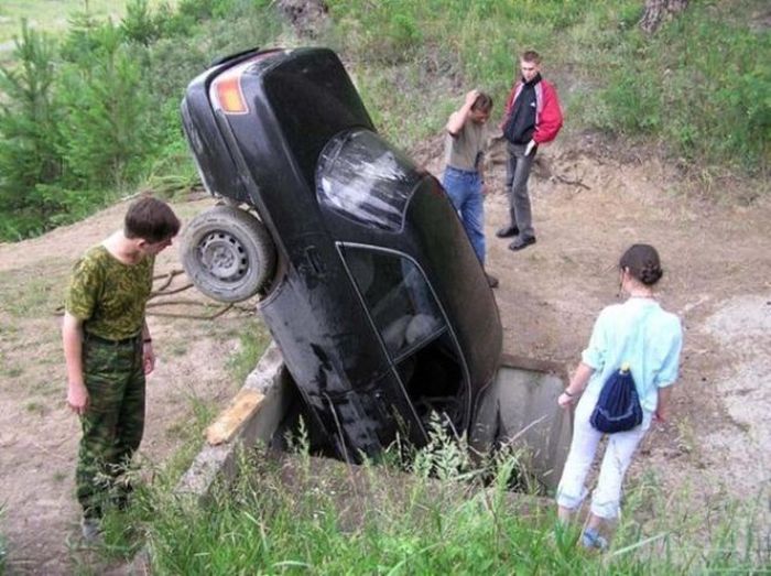 Забавные картинки