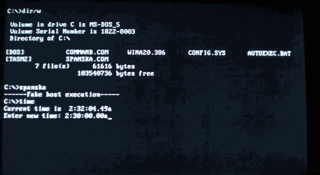 Компьютерные вирусы эпохи MS-DOS (в гифках) Компьютерные вирусы эпохи MS-DOS (в гифках)