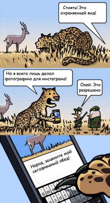 Забавные картинки