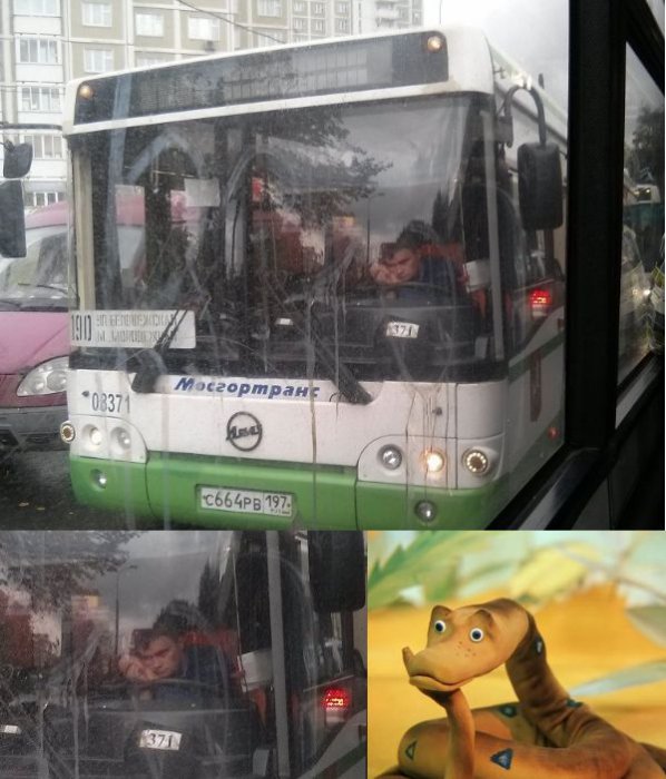 Забавные картинки