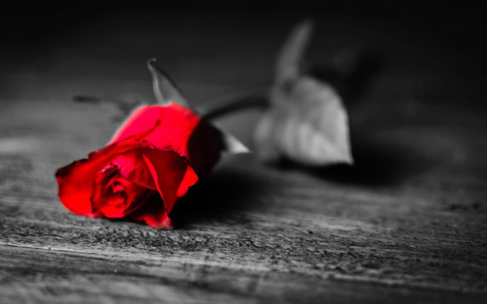 Обои на рабочий стол / Computer Desktop Wallpapers Collection 765