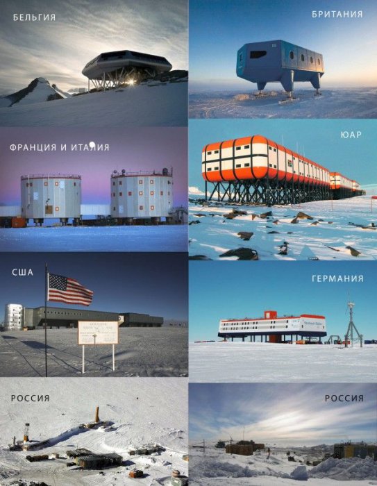Забавные картинки