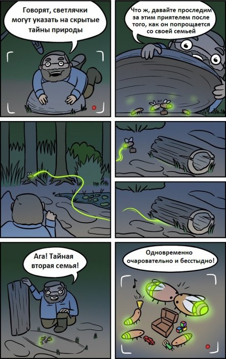 Забавные картинки