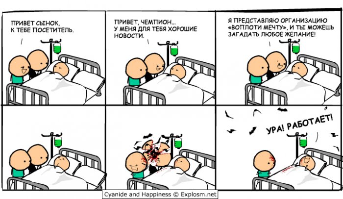 Забавные картинки