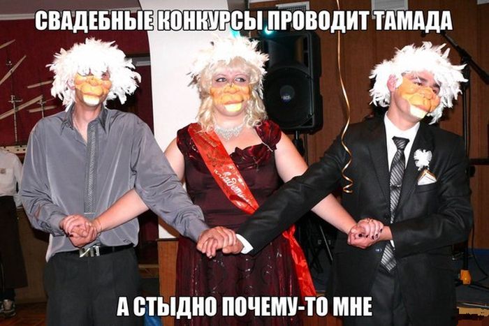 Забавные картинки