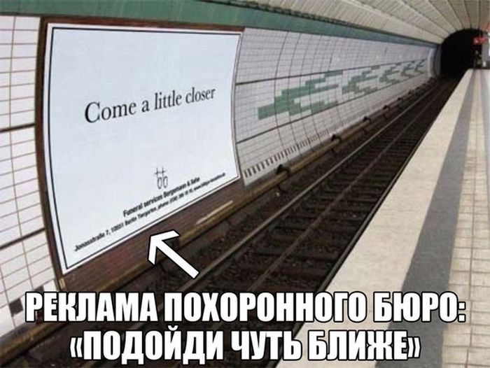 Забавные картинки