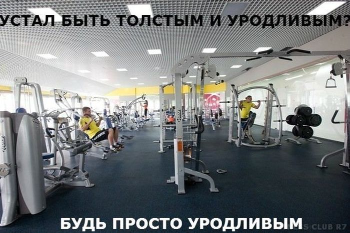 Забавные картинки
