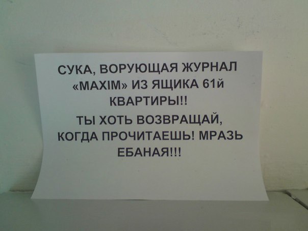 Забавные картинки