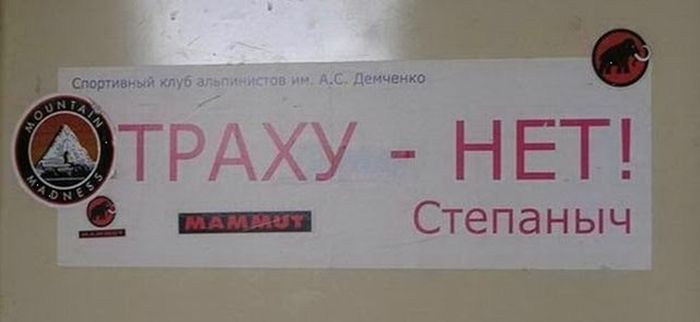 Забавные картинки