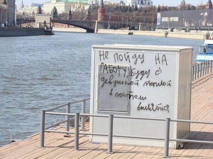 Забавные картинки