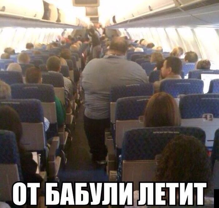 Забавные картинки