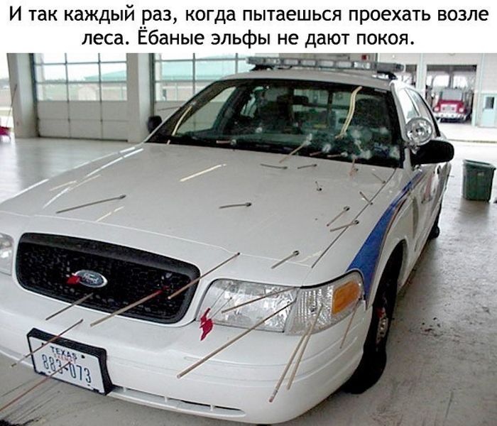 Забавные картинки