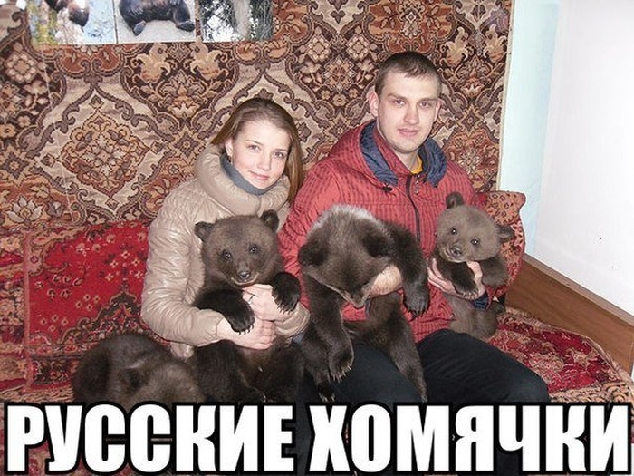 Забавные картинки