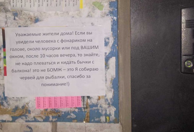 Забавные картинки