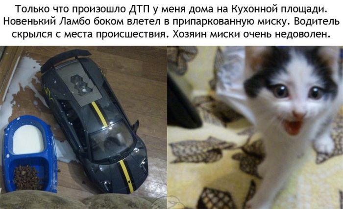 Забавные картинки