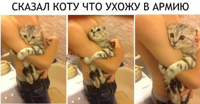 Забавные картинки