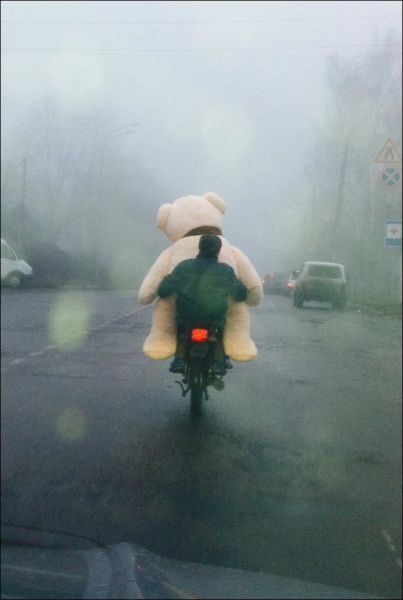 Забавные картинки
