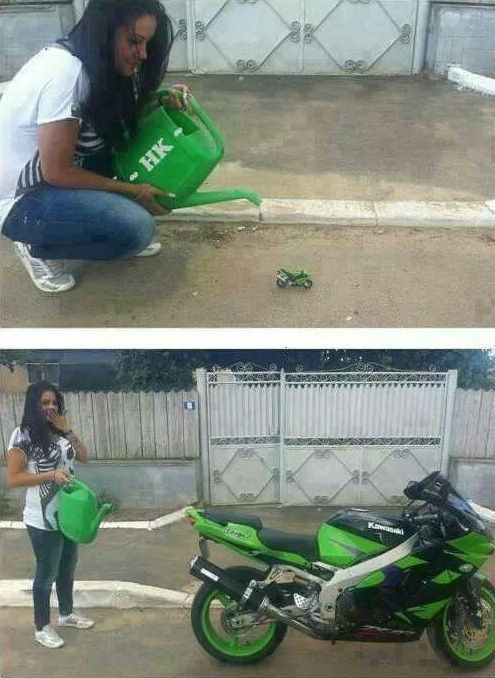 Забавные картинки