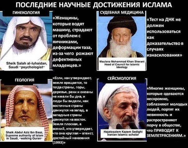 Забавные картинки