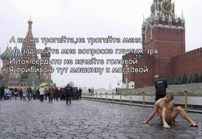 Забавные картинки