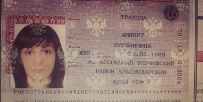 Забавные картинки