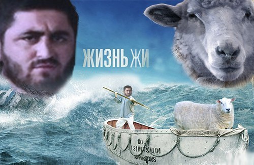 Забавные картинки