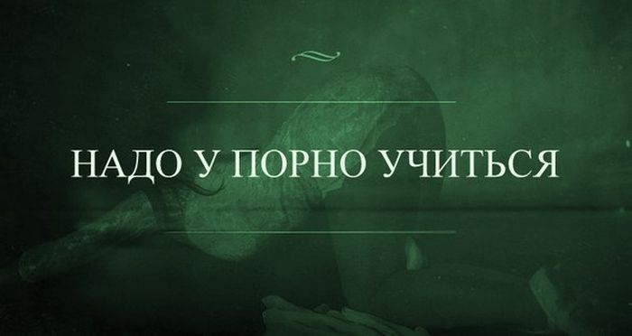 Забавные картинки