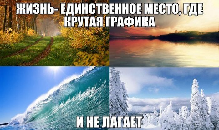 Забавные картинки