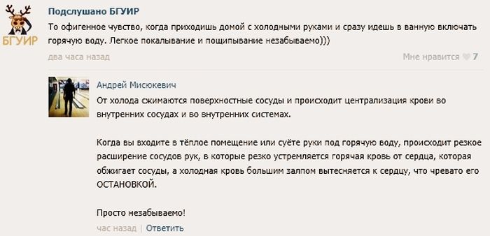 Забавные картинки