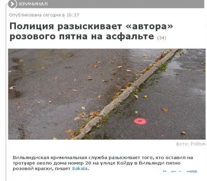 Забавные картинки
