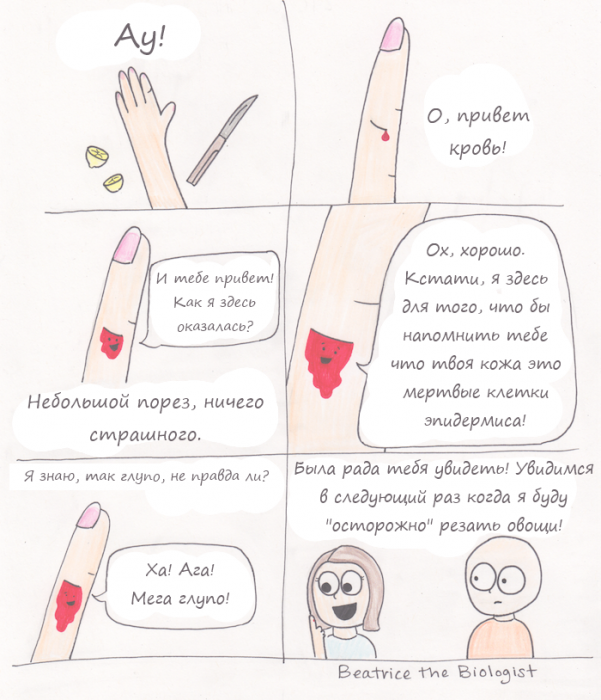 Забавные картинки