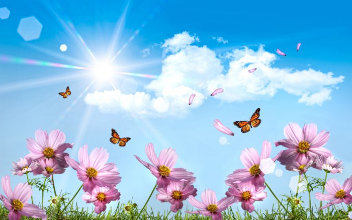 Обои на рабочий стол / Mix Wallpaper 2560 x 1600