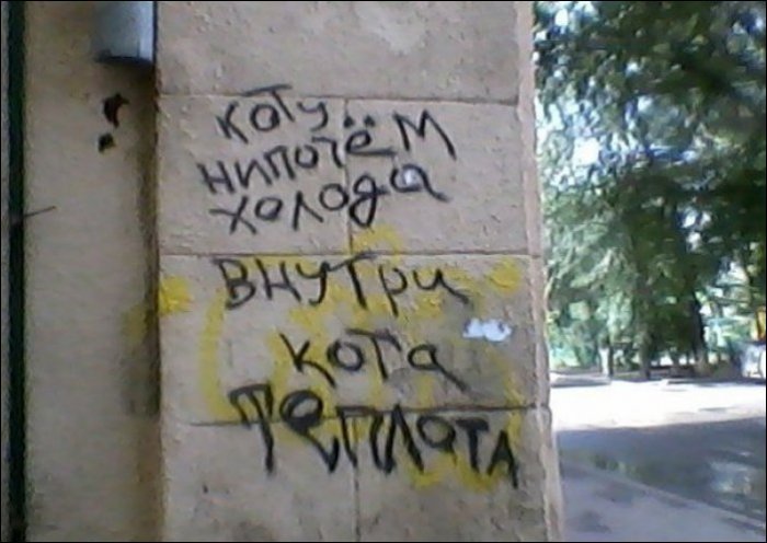 Забавные картинки