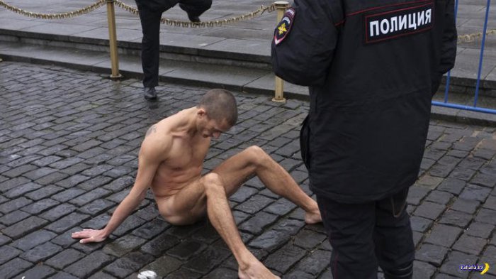 Яйца Павленского: Чат простых американцев