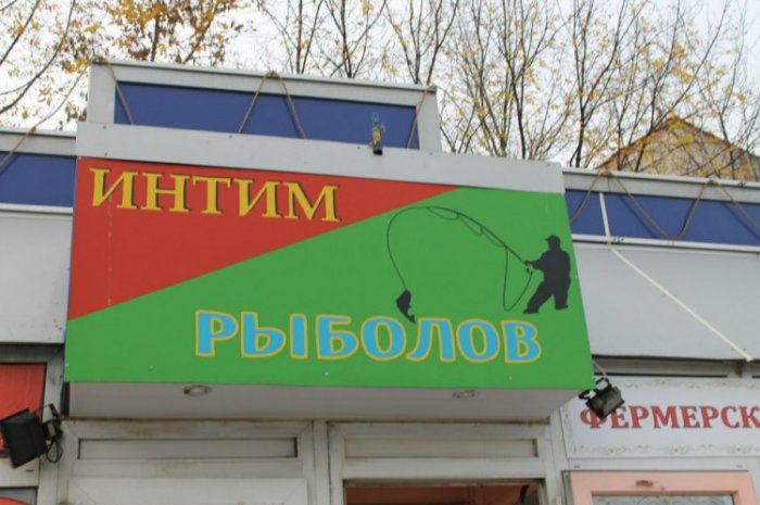 Забавные картинки