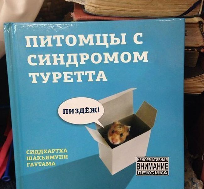 Забавные картинки