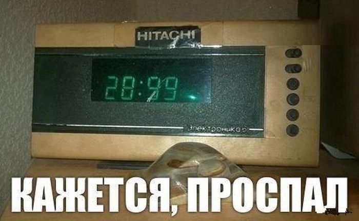 Забавные картинки