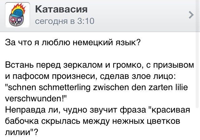 Забавные картинки