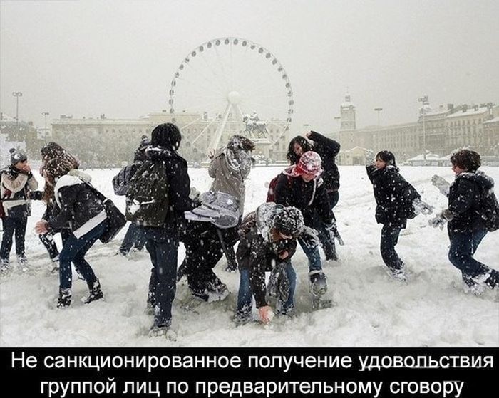 Забавные картинки
