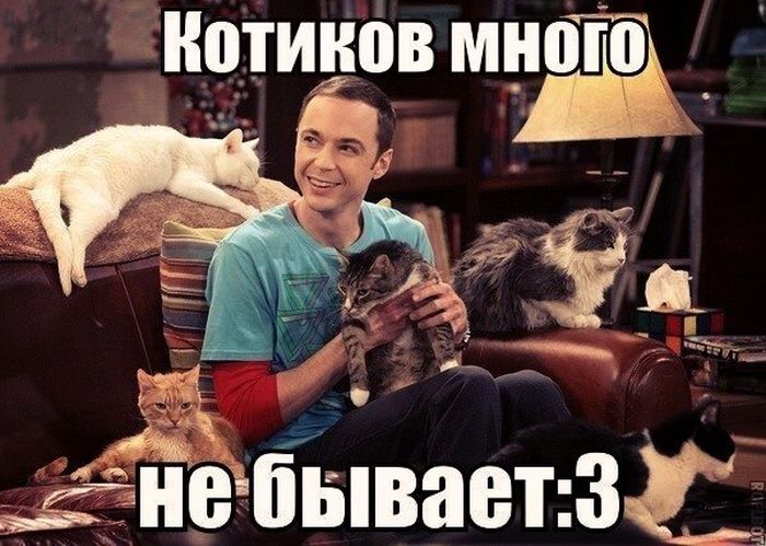 Забавные картинки