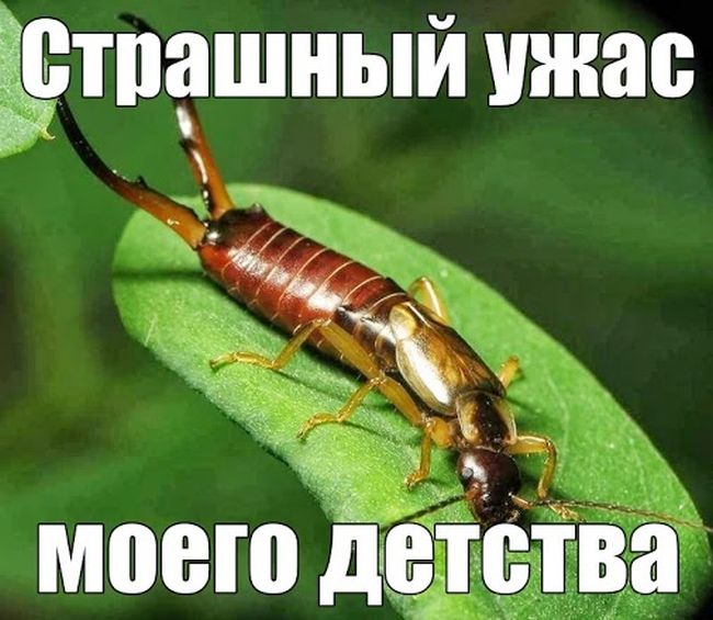 Забавные картинки