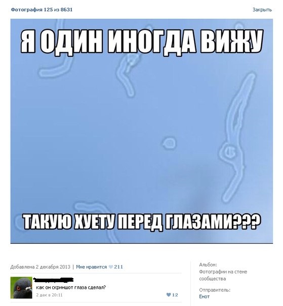 Забавные картинки