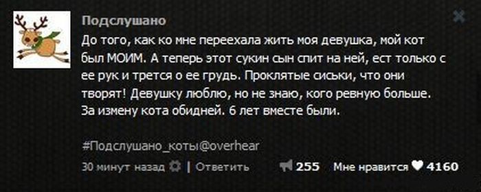 Забавные картинки