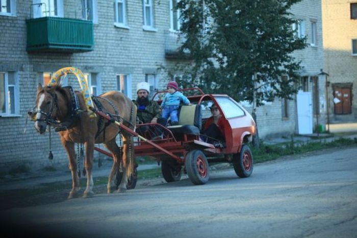 Забавные картинки