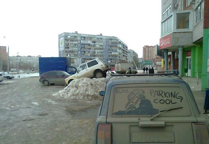 Забавные картинки