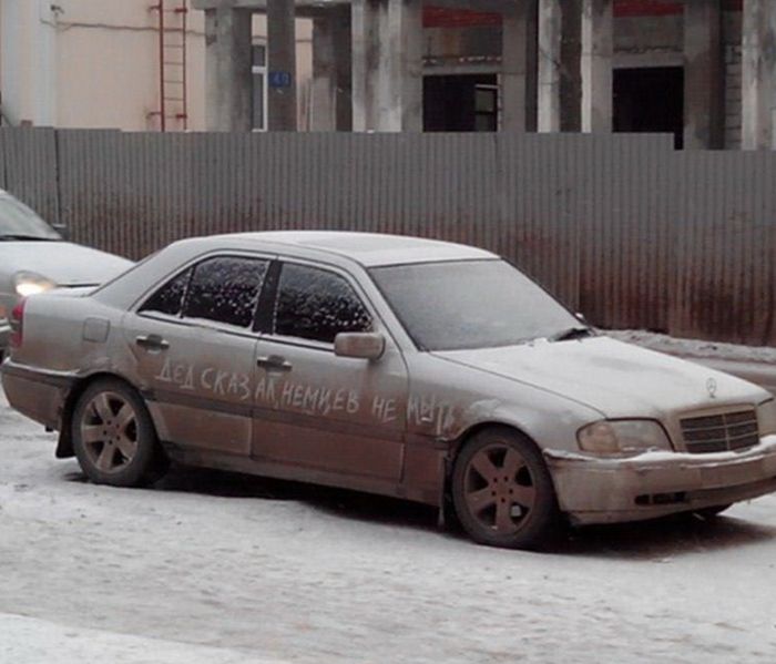 Забавные картинки